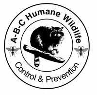 ABC Humane Wildlife Control and Prevention Inc.