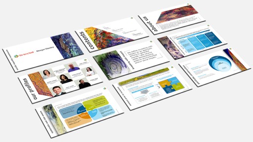 Presentation designed by blaze
