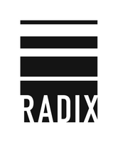 RADIX ground screw piles