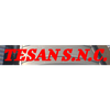Tesan Logo