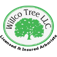 Willco Tree LLC