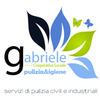 Gabriele Pulizia & Igiene Logo