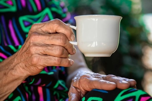 Guardian - discreet monitoring for an elderly relative living alone