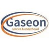 Gaseon Logo