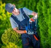 ArboristsSunshineCoast.com.au