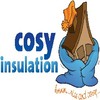 Cosy Insulation Logo