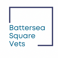 Battersea Square Vets