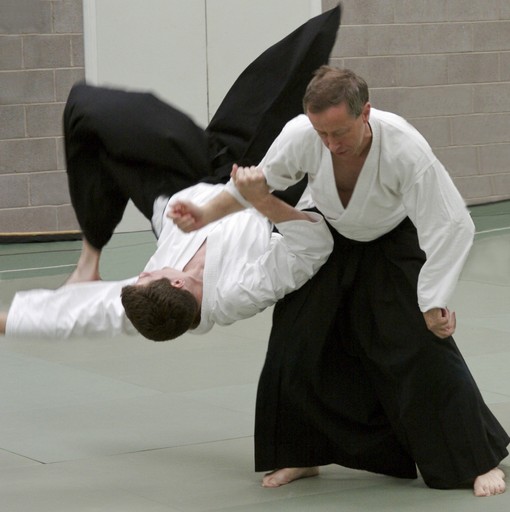 Aikido throw