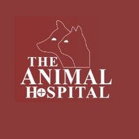 The Animal Hospital