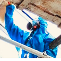 Ecorex Asbestos Ltd.