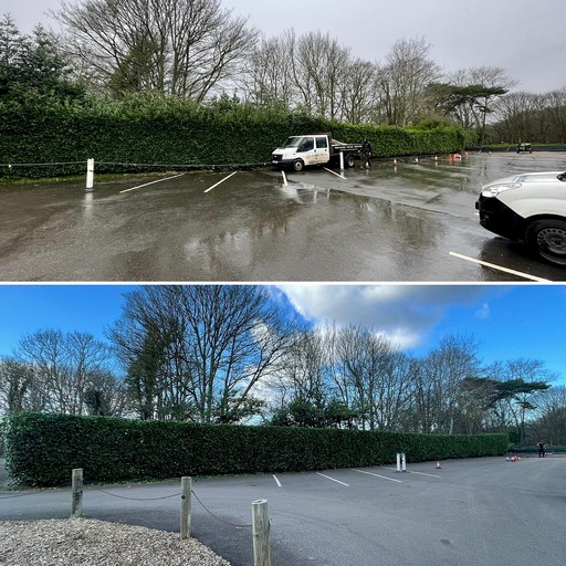 Hedge Cutting