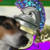 ENJOY-DOG Logo