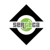 Sergeca Gestione Ponteggi