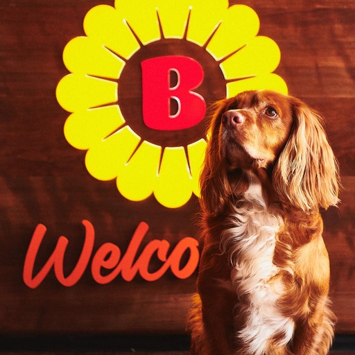 Brightside entrance with dog