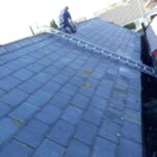 Roofing Specialist