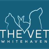 The Vet Whitehaven