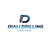 Diali Drilling Limited Logo