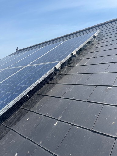 Solar Panel Bird Proofing Kent