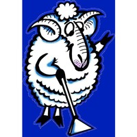 Jumbuck Cleaning & Restoration