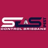 SES Ant Exterminator Brisbane