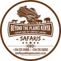 Best Kenya safari operator