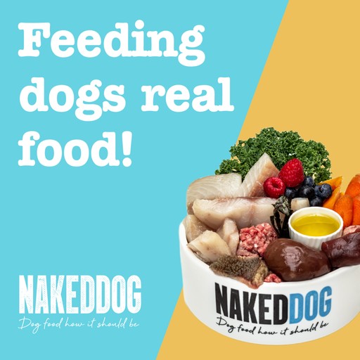Raw Dog Meat
