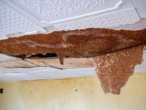 Water damage