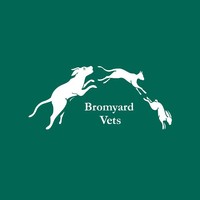 Bromyard Vets