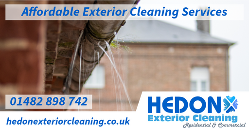 Gutter cleaning service