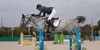 Horse Menage Construction LTD