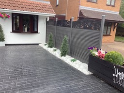 venitian / Rosmary Spice Curve