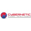 Cybernetic Global Intelligence
