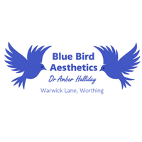 Logo featuring a minimal blue bird icons and text