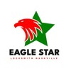 Eagle Star Locksmith Logo