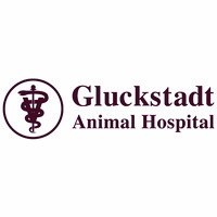 Gluckstadt Animal Hospital
