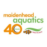 Maidenhead Aquatics Gillingham