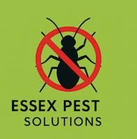 Essex Pest Soloutions