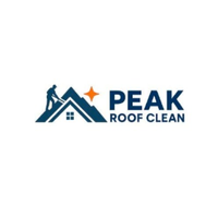 Peak Roof Clean