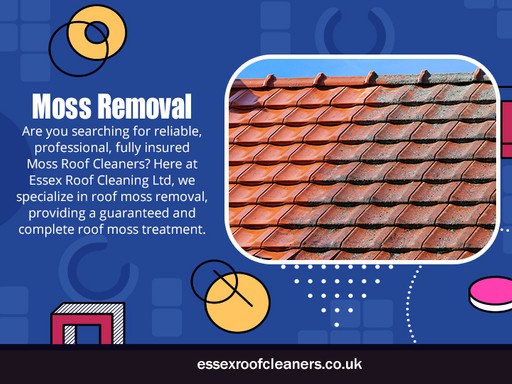 Moss Removal Essex