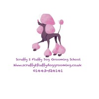 Scruffy 2 Fluffy Dog Grooming School