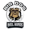 Big Dog Bail Bonds Logo