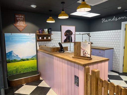Dogwood Crowborough Interior