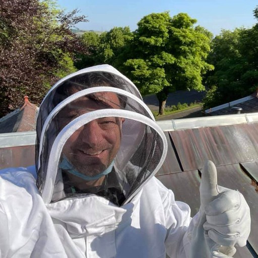 Zest Wasp Removal 1