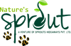 Hotel Booking Satpura | Satpura Hotel Booking - Nature's Sprout