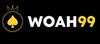 WOAH99.INFO (WOAH99)