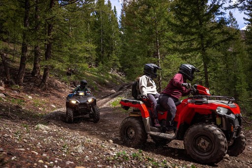 MAIN
