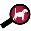 Trend Finders S.R.L | Web Agency Fano Logo