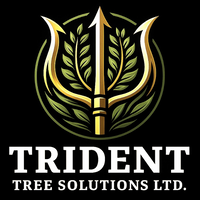 Trident Tree Solutions Ltd.