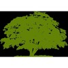 Complete Tree Service