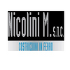 Nicolini M. Costruzioni in Ferro Logo